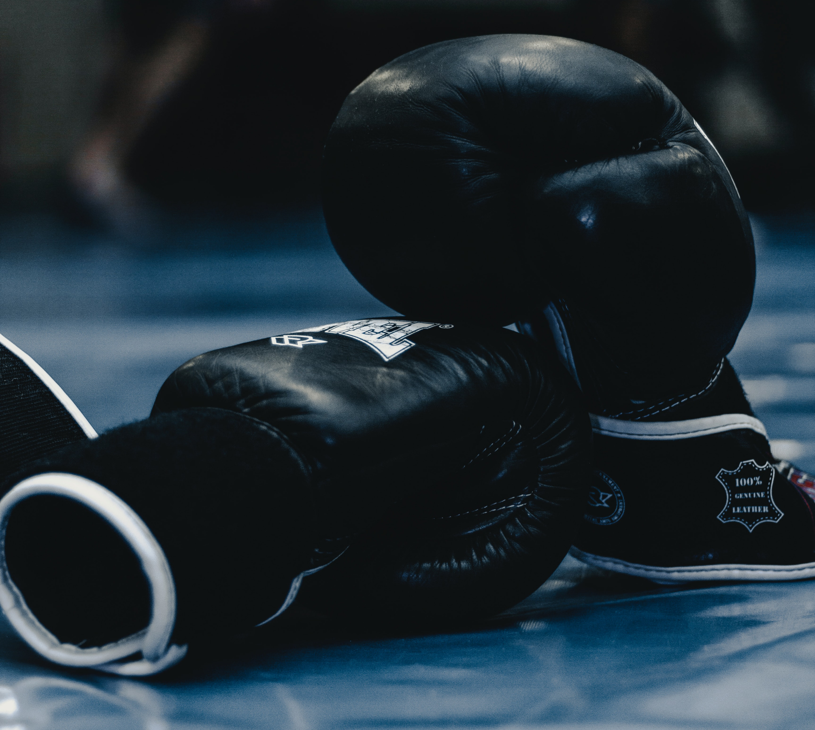 Close-up of black boxing gloves. 